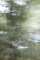 Abstract art, gestual photography : Innerwaters 21(tribute to Monet)